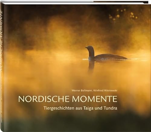 Nordische Momente: Tiergeschichten aus Taiga und Tundra